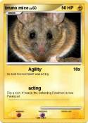 bruno mice