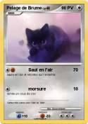 Pelage de Brume