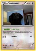 lovely puppy