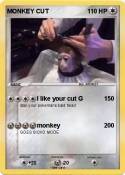 MONKEY CUT