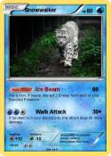 Snowwalker