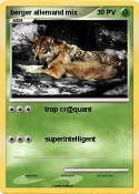 berger allemand