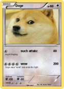 Doge