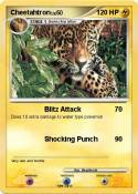 Cheetahtron