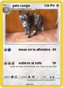 gato cungo