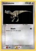 Ornitholestes