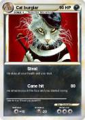 Cat burglar