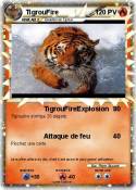 TigrouFire