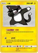 cat