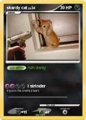 skardy cat