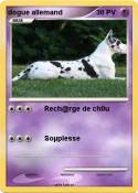 dogue allemand