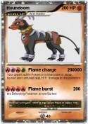 Houndoom 000