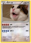 wtf cat