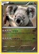 koala