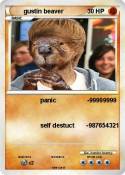 gustin beaver