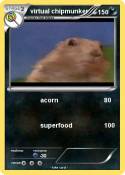 virtual chipmun