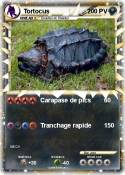 Tortocus