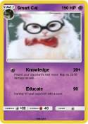 Smart Cat