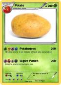 Potato