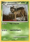 berger allemand