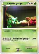 Caméléo groupe