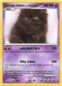 persian kitten