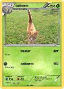 catboem