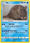 Rat