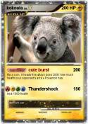 kokoala
