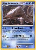 Giant Octopus
