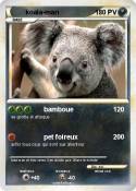 koala-man