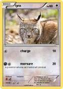 lynx