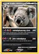 ocycak koala