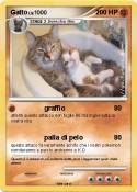 Gatto