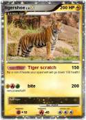tigershoe