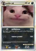 polite cat