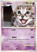 Kitten