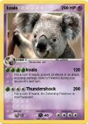 koala