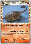 tortue serpent