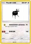 POLISH COW
