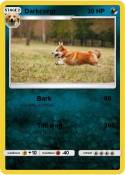 Darkcorgi