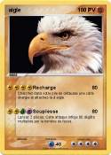 aigle
