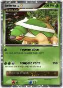 torterra
