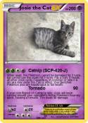 Josie the Cat