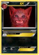 dark cat
