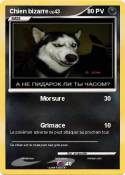 Chien bizarre