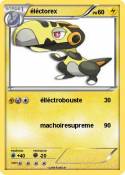 éléctorex