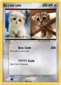 So cute cats