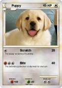 Puppy