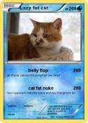 Lazy fat cat